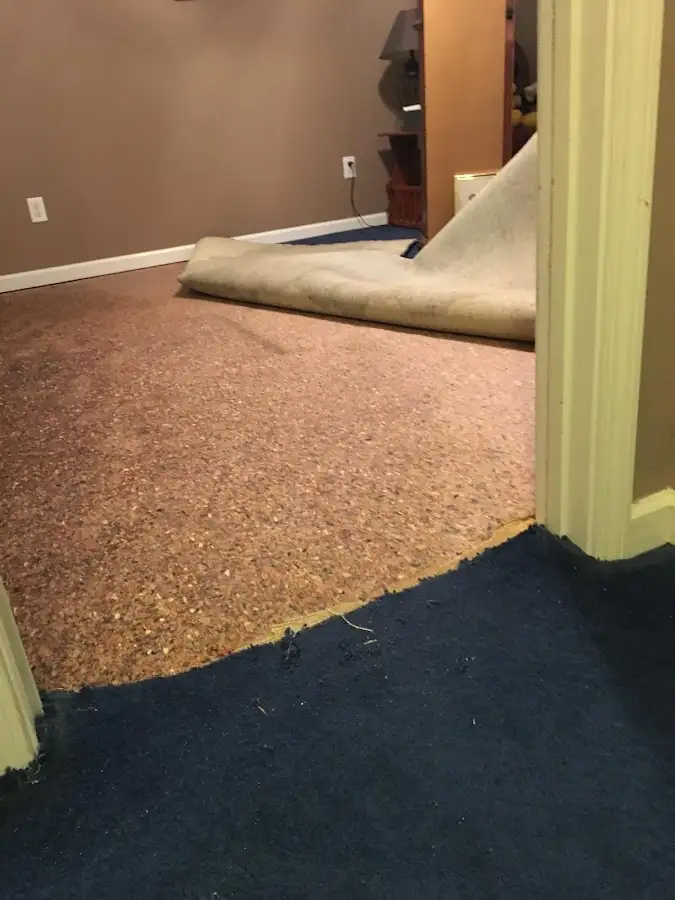 Carpet pad removal revealing water damage during Water Mitigation Services in New Milford